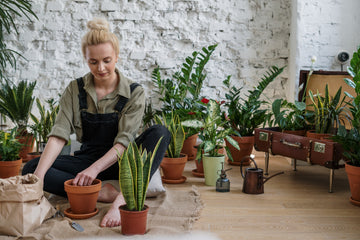 Gardening 101: Tips Memulai Berkebun di Rumah